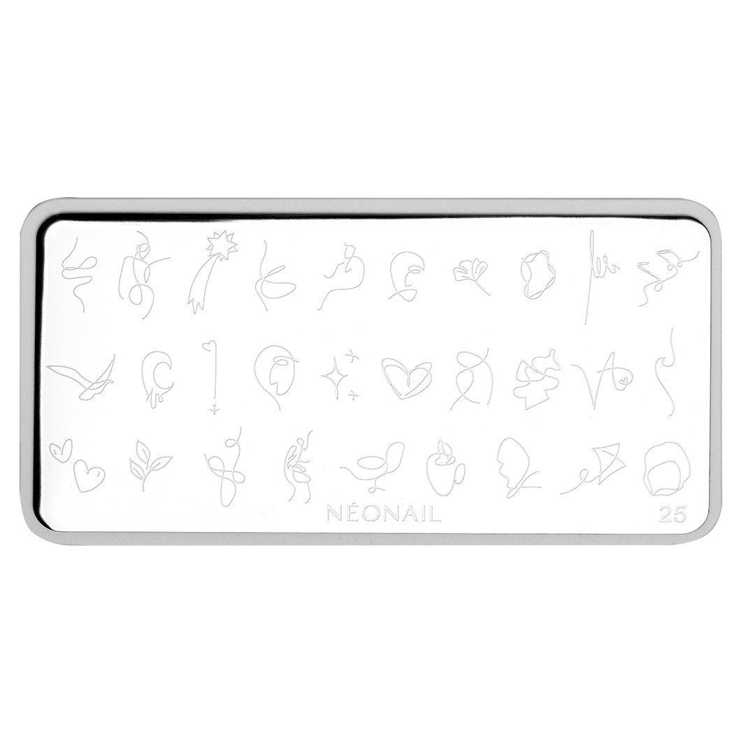Stamping Nail Art Set Limited Edition