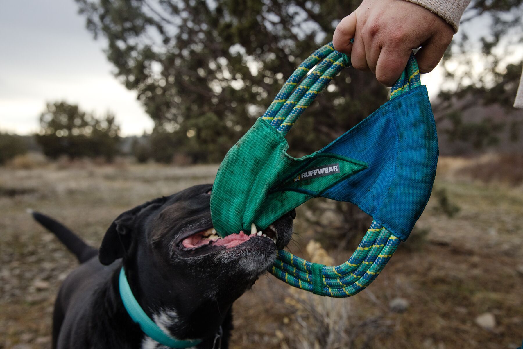 Ruffwear Frisbees & Wurfspielzeug Ruffwear Pacific Ring™ Spielzeug blau/ türkis