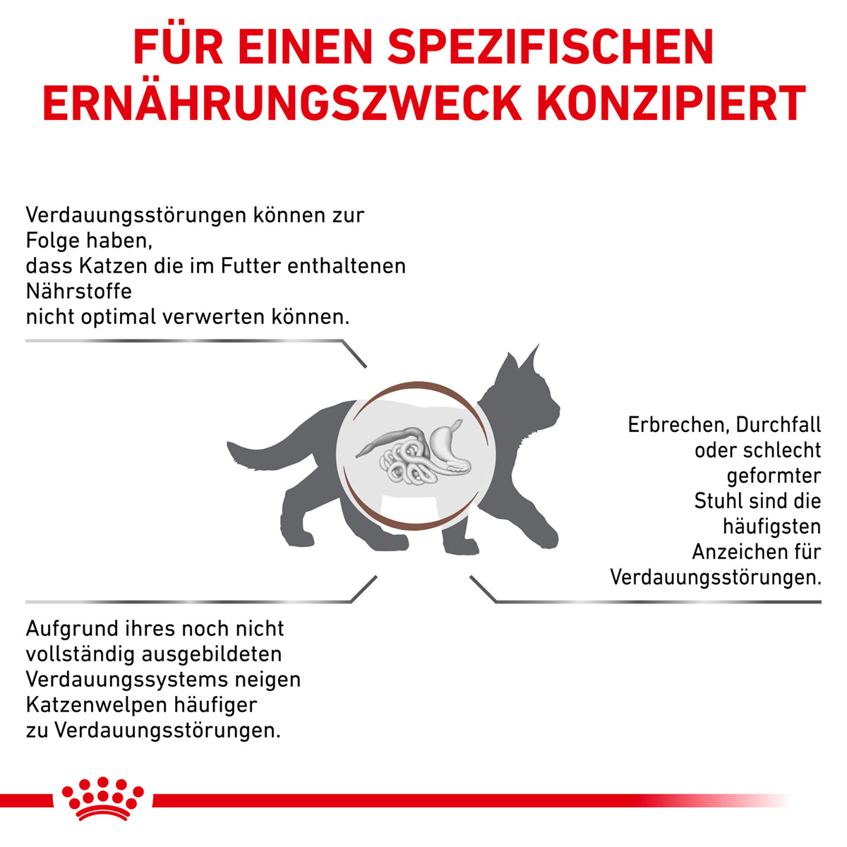 ROYAL CANIN Veterinary GASTROINTESTINAL KITTEN Trockenfutter für Katzenwelpen 2kg