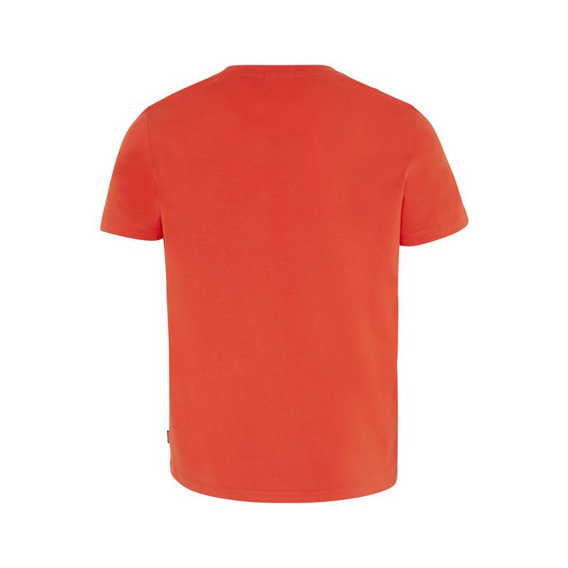 Chiemsee T-Shirt T-Shirt Herren