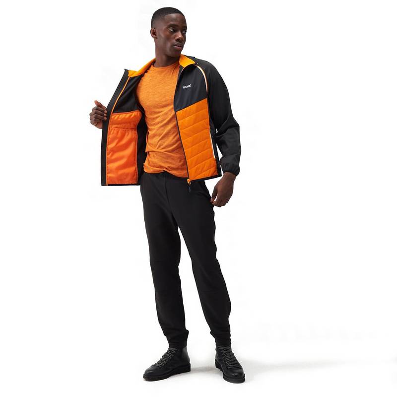 Regatta Steren Funktionsjacke Herren