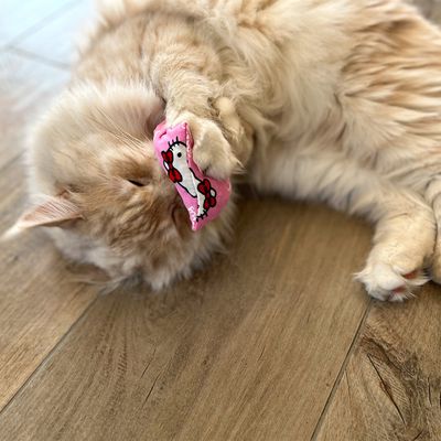 Aumüller Hello Kitty Katzenspielkissen