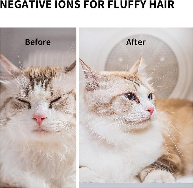Petkit Haustiertrockner Airsalon Max Smart