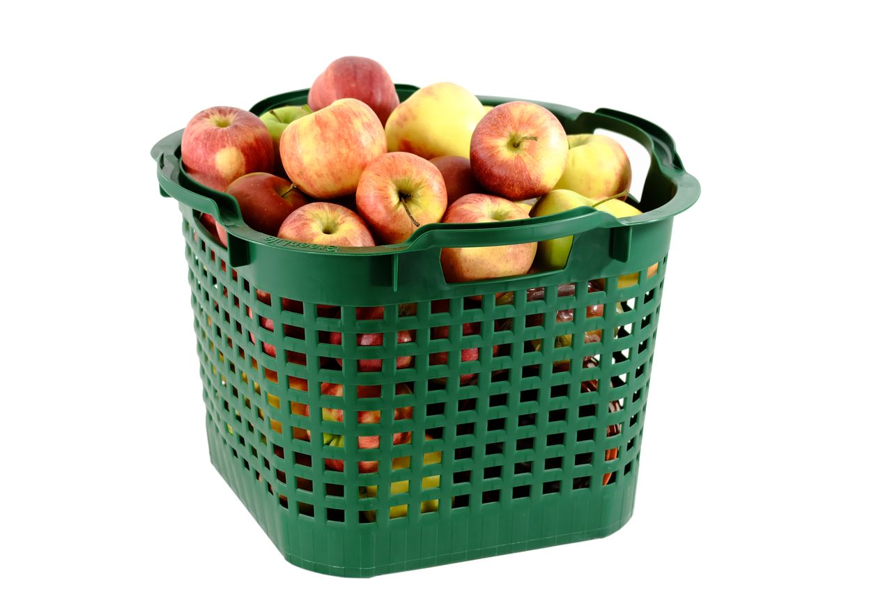 GreenLife Uni-Korb 25 kg, 10 Stück, drehstapelbar, grün
