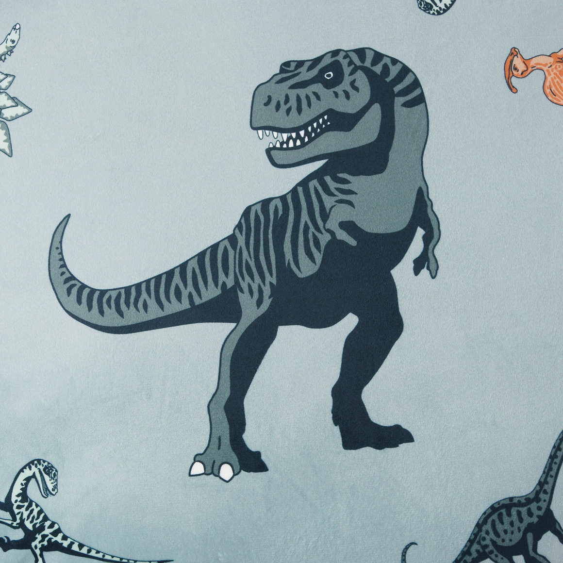 Kissen mit Dino-Motiven