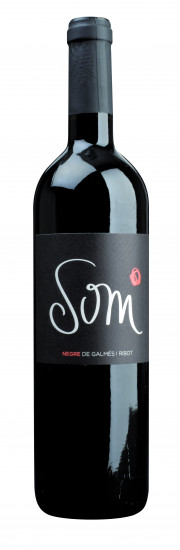 2021 SOM NEGRE trocken Bio - Galmes i Ribot