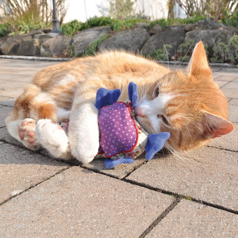 Aumüller Baldrian-Katzenspielkissen Patchwork-Eule zu TOP-Preisen