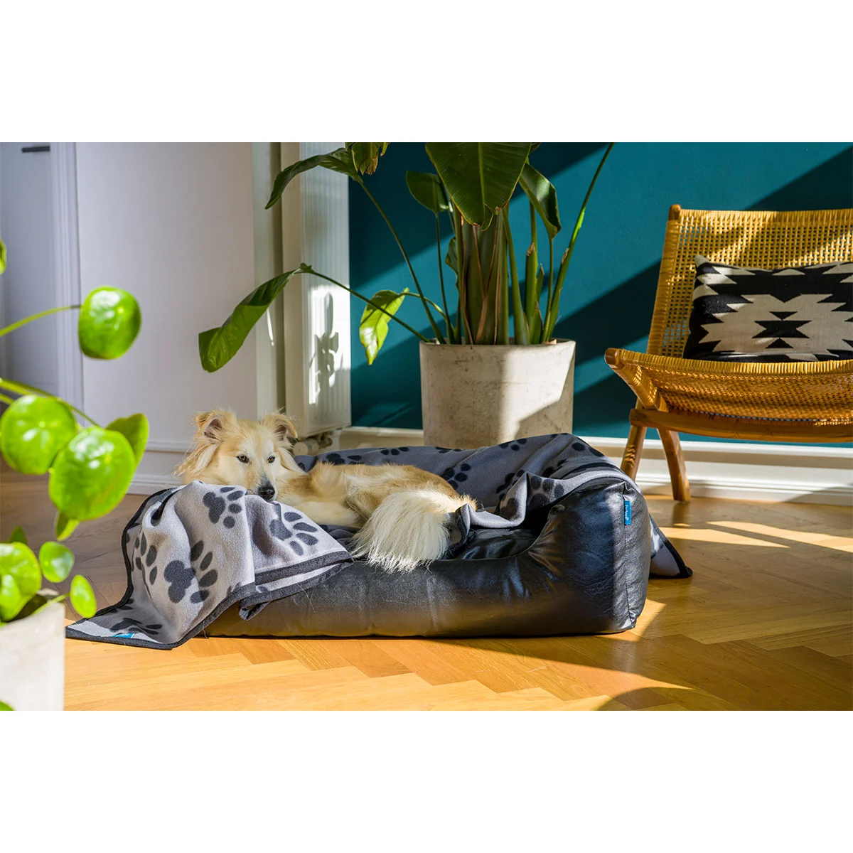ZooRoyal Hundebett Deluxe günstig kaufen