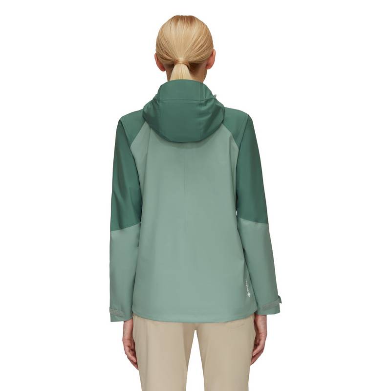 Mammut Convey Tour Hooded Hardshelljacke Damen