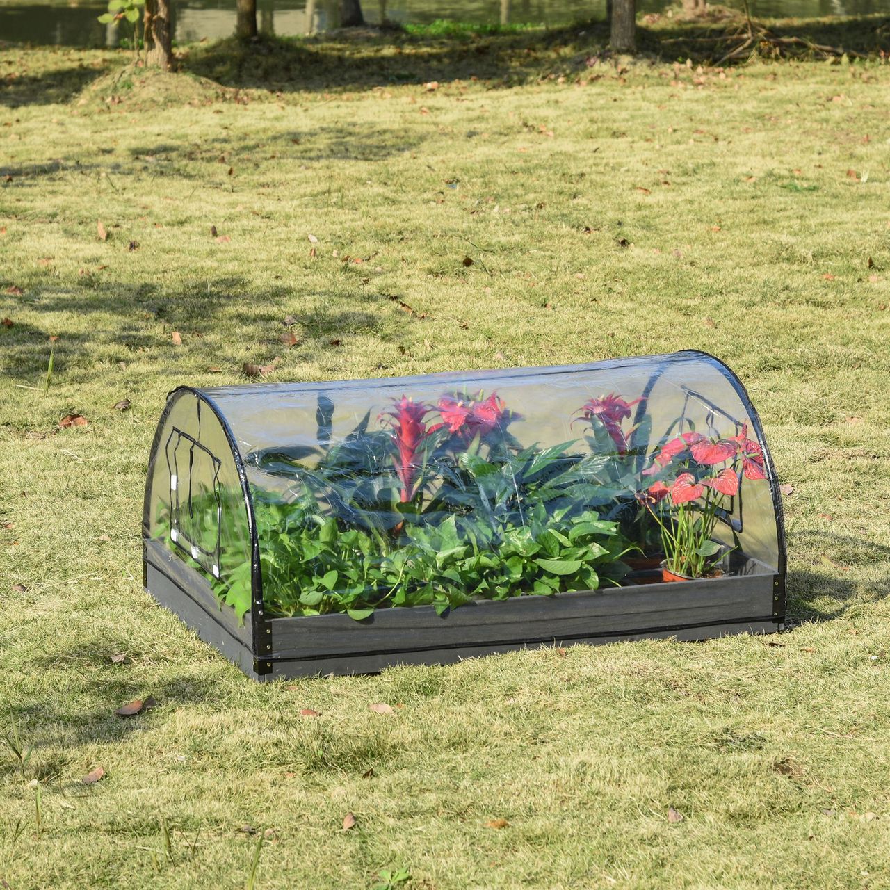 Outsunny Gewächshaus mit Fenster 12 Gitter Treibhaus Transparent 120 x 79 x 53 cm