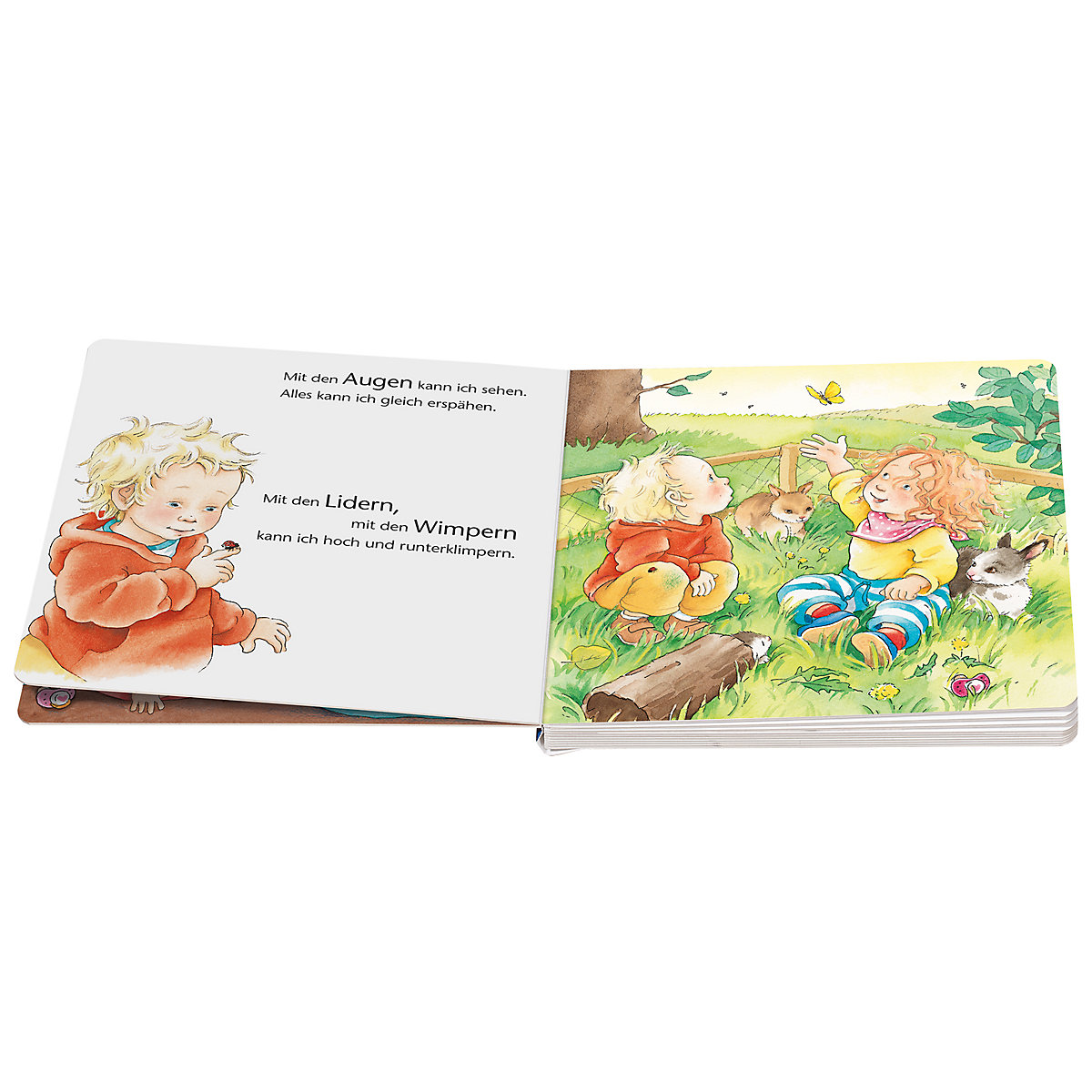 ministeps® Augen, Bauch und Hände