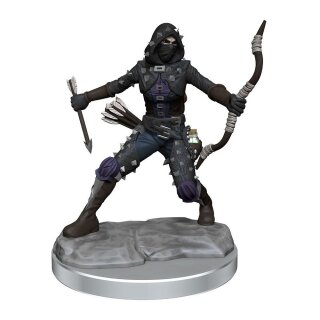 D&D Frameworks: Human Rogue Female
