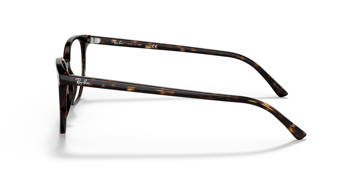 ELLIOT OPTICS - Lucido Havana