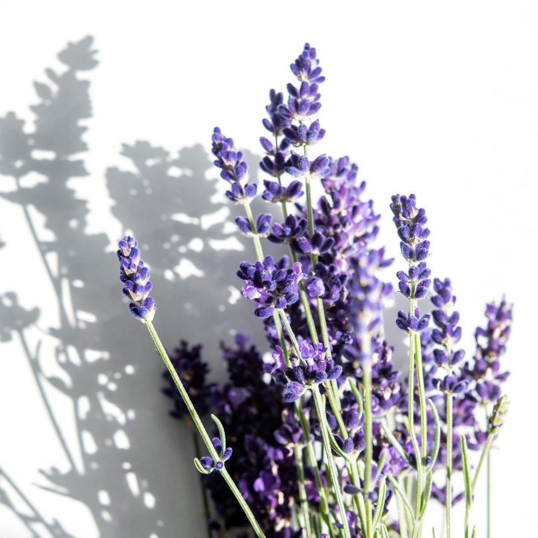 Relaxing Lavender Spray