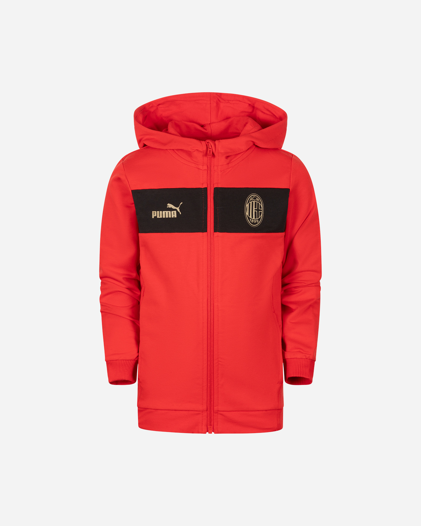 Oficiálna futbalová tepláková súprava Puma Milan 24-25 Jr 631158-04