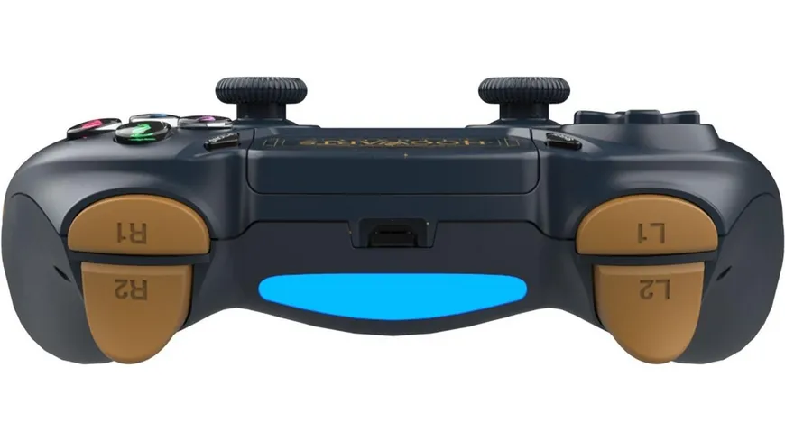Harry Potter Hogwarts Legacy PS4 Controller