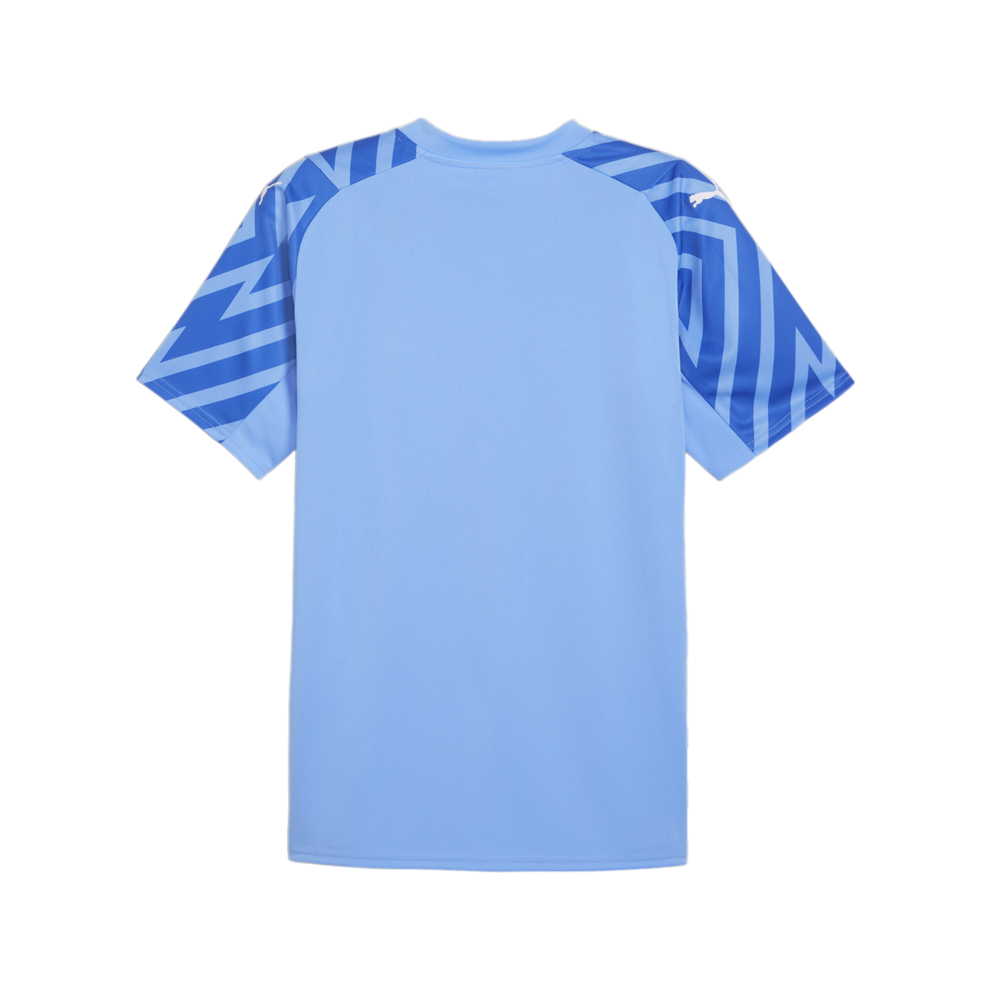PUMA Schweiz TW-Trikot EM 2024 Blau F94