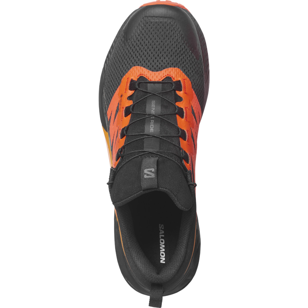 Salomon SENSE RIDE 5 GTX L47147300 / schwarz