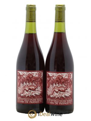 Vin de France Salamandre Jérôme Saurigny  2017 - Lot de 2 Bouteilles