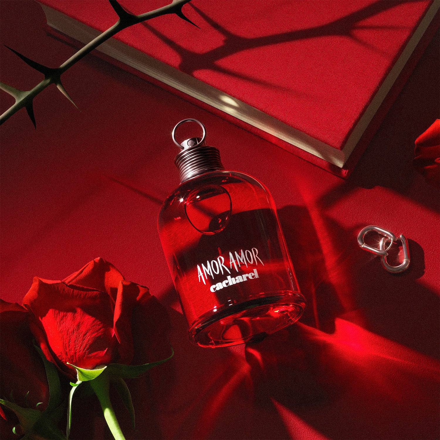 Amor Amor Amor Amor - Eau de Toilette