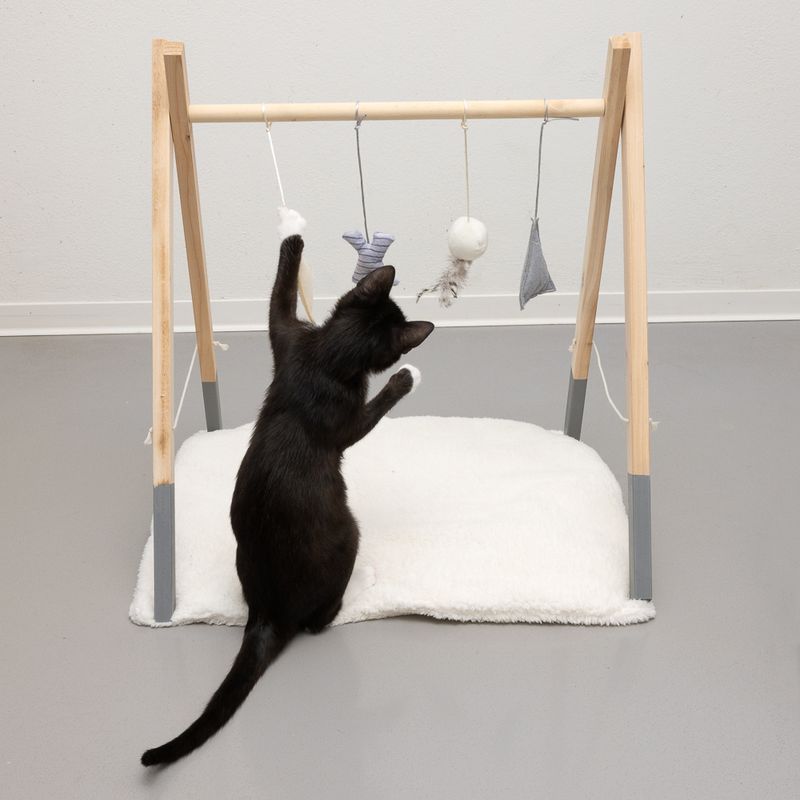 Modern Living Katzenspielplatz Stockholm zu TOP-Preisen | bitiba