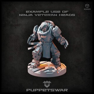 Ninja Veteran Heads  (5)