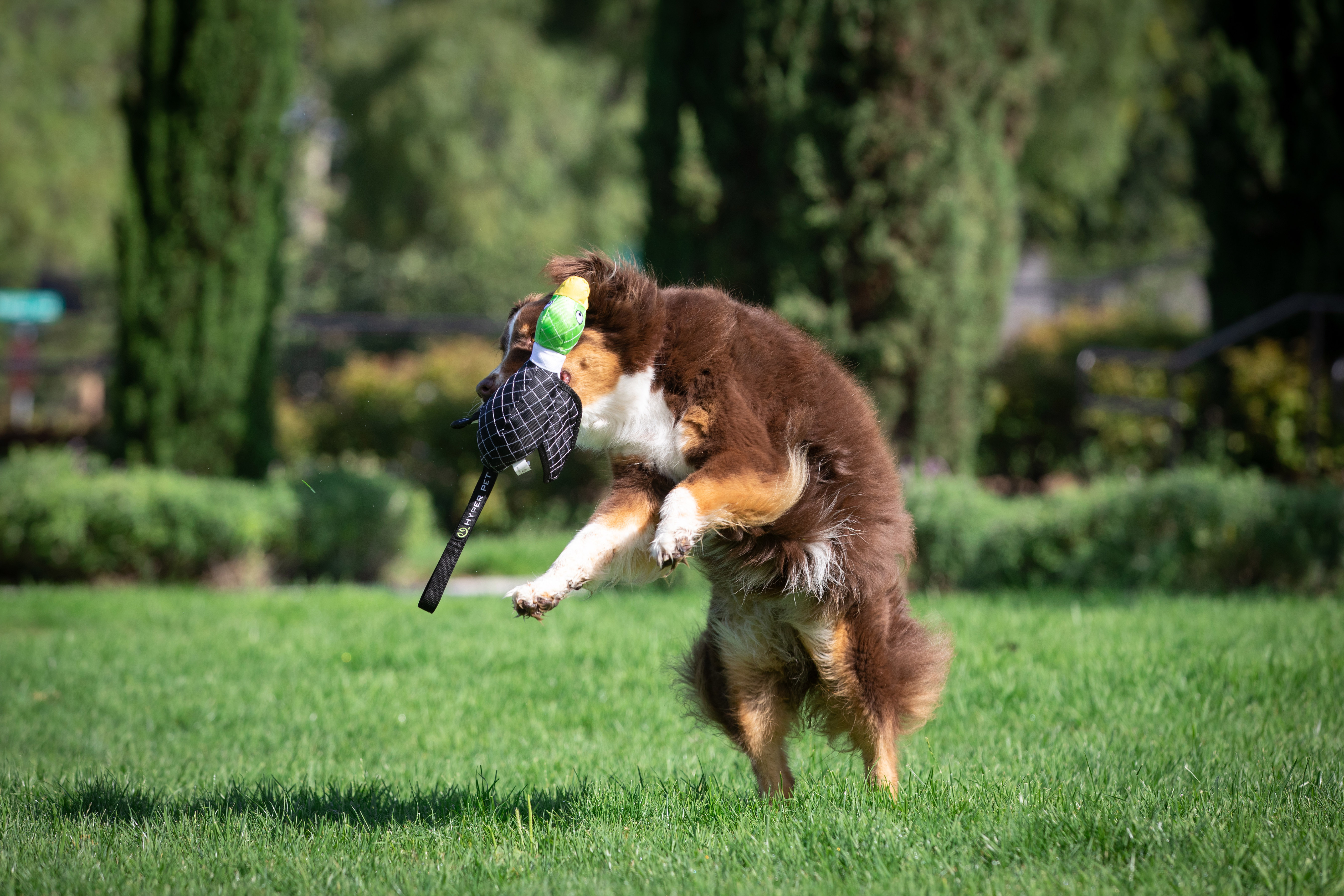 Hyper Pet Frisbees & Wurfspielzeug Hyper Pet Flying Duck