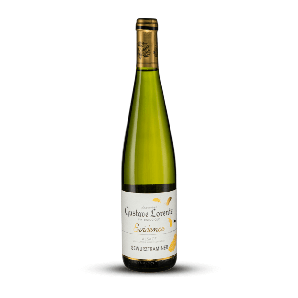Evidence Blanc Sec 2020 - Gustave Lorentz