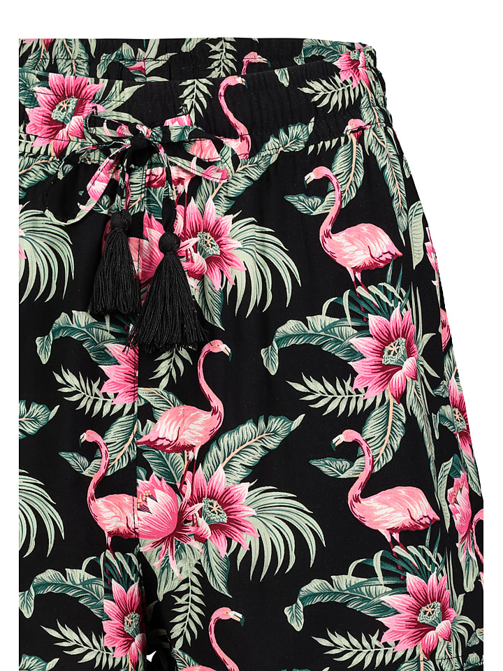Sublevel Shorts 
