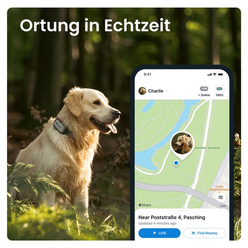 Tractive XL GPS Tracker für Hunde Adventure Edition