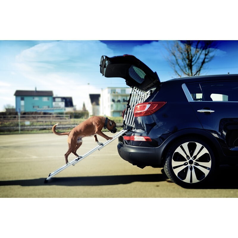 4pets Autozubehör 4pets Rampe EasySteps