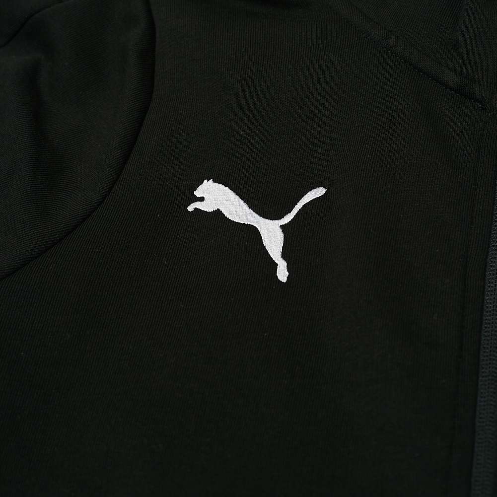 PUMA teamFINAL Casuals Hoody Herren Kapuzen Sweatshirt 656492-03