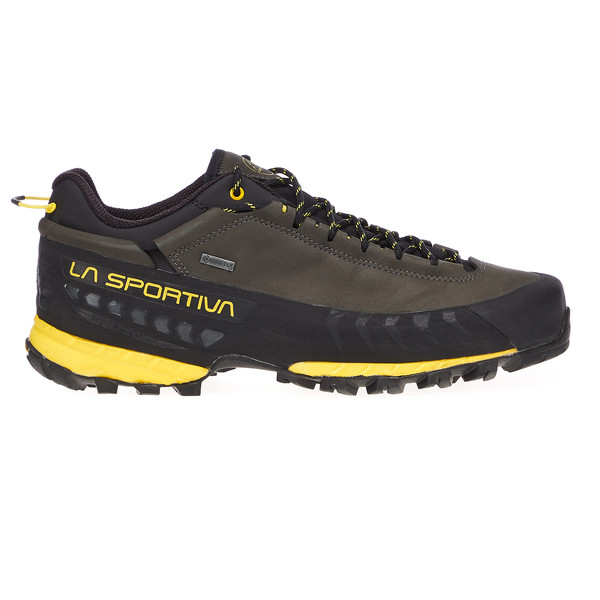 TX5 LOW GTX Herren - Zustiegsschuhe
