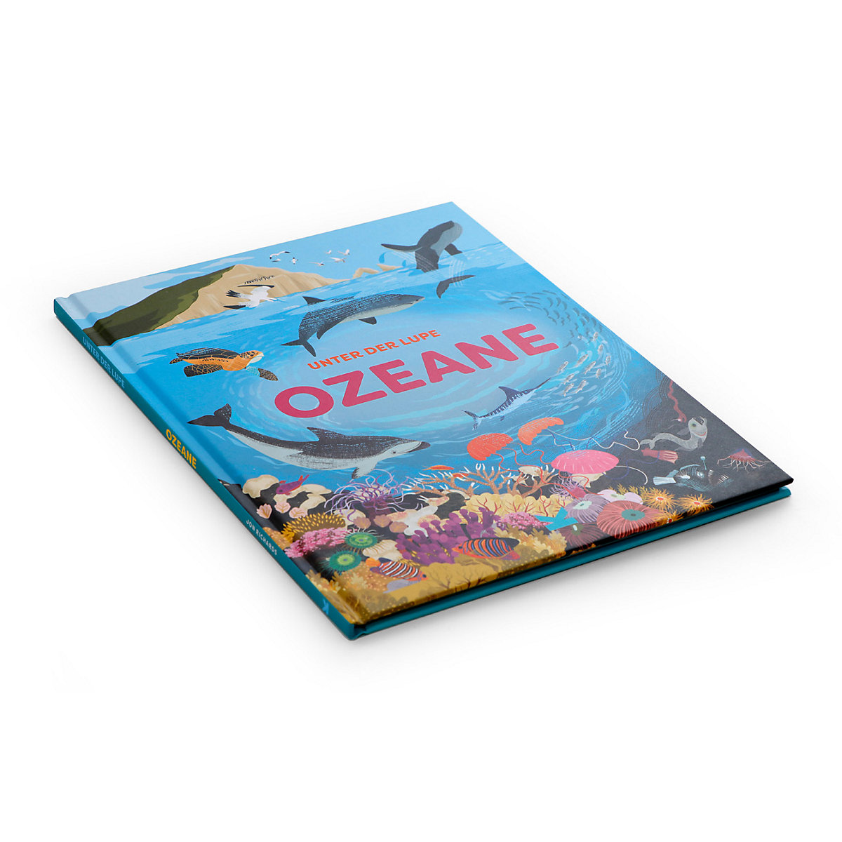 Unter der Lupe: Ozeane