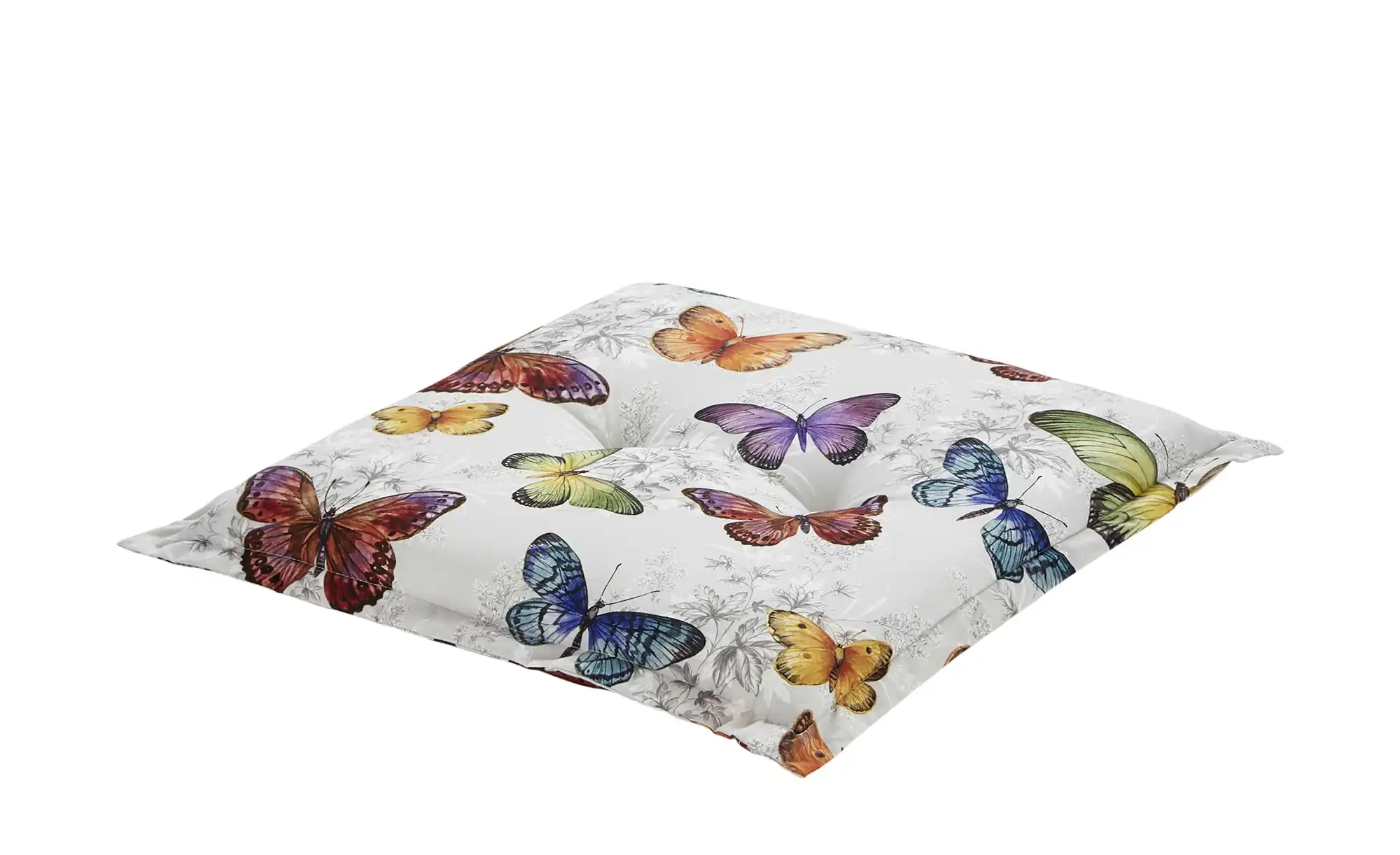 Schwienhorst Auflage  Butterfly
