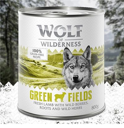 Wolf of Wilderness Adult 6 x 800 g - Single Protein