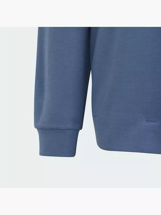 adidas Future Icons Logo Hoodie