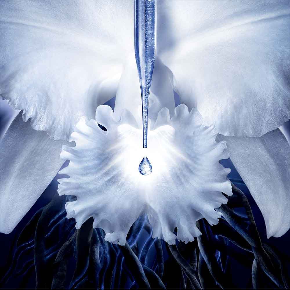 Guerlain Orchidée Impériale Eye & Lip Cream