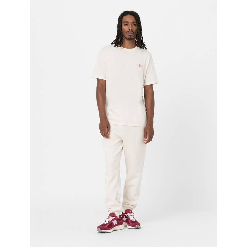 Dickies Mapleton T-Shirt Herren
