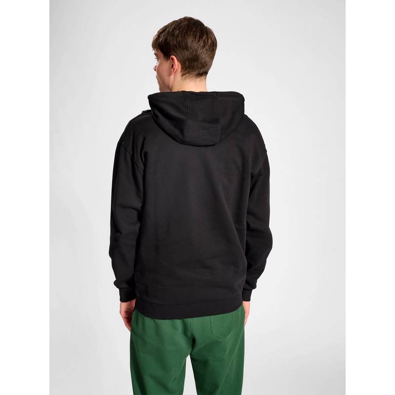 hummel hmlLGC NATE HOODIE Hoodie Herren