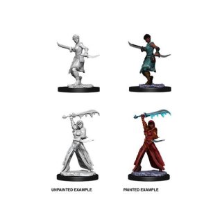 Female Human Rogue: D&D Nolzurs Marvelous Miniatures