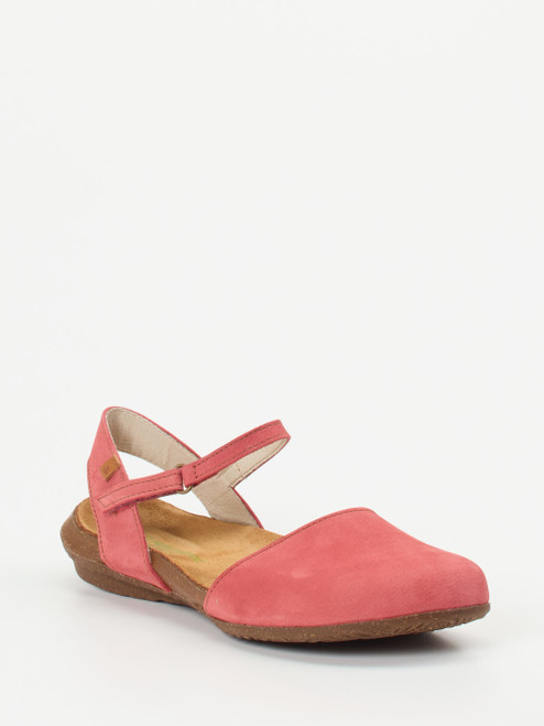 Slipper-13115390001 El Naturalista