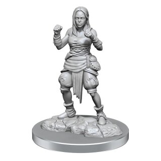 Pathfinder Battles Deep Cuts Miniaturen: Half-Elf Monk Female (unpainted) (2)