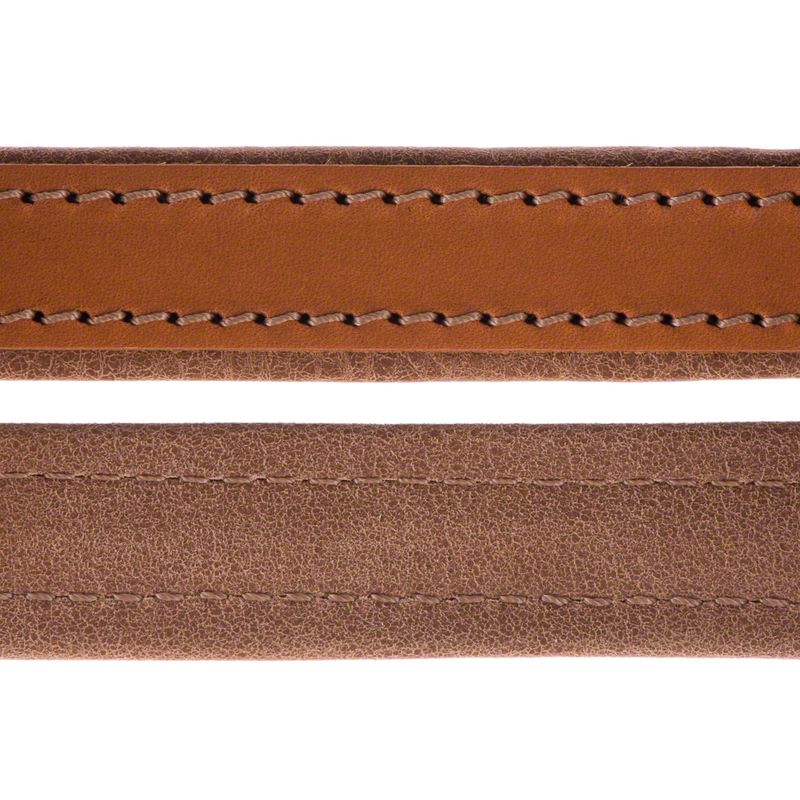 Sparset Heim Lederhalsband & Vorführleine Buffalo, cognac % bei bitiba.de