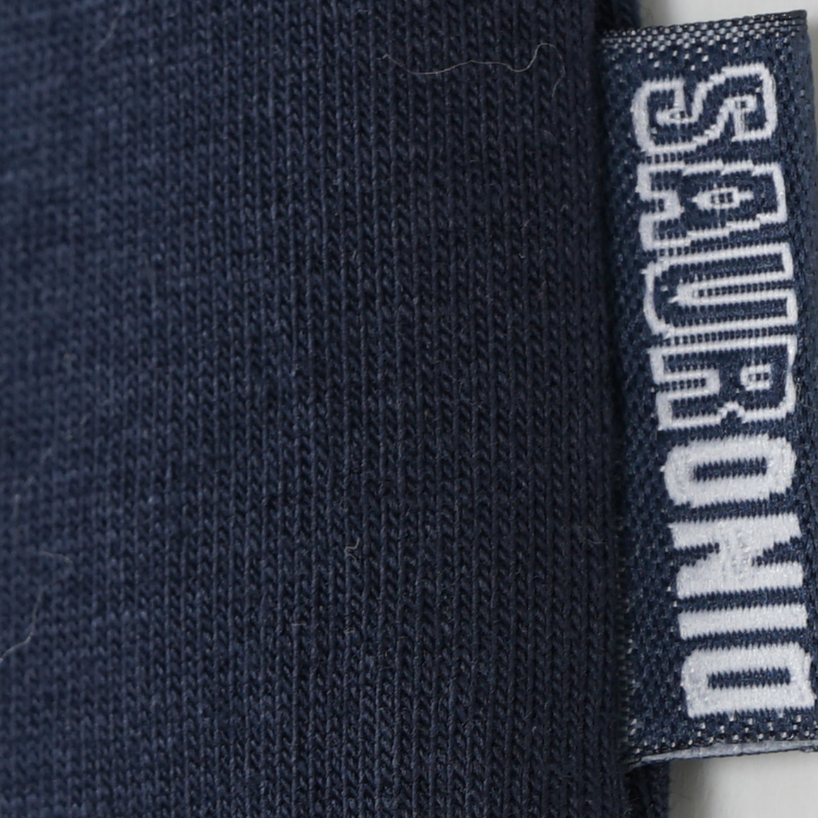 2 Jungen Boxer mit Dino-Motiv
