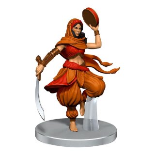 Pathfinder Battles Miniaturen: Impossible Lands - Heroes and Villains Boxed Set (8) (pre-painted)