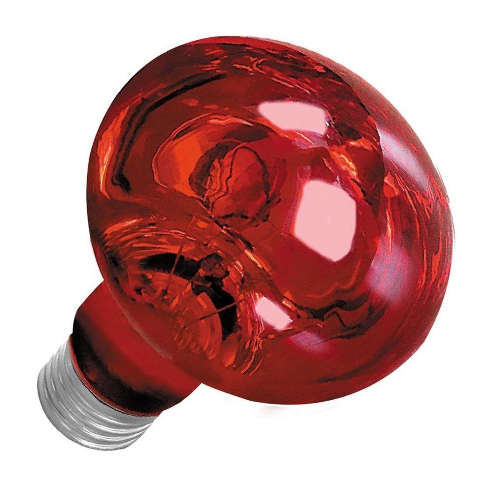 Happet Terrarienleuchte Universal Infrarotlampe Infrarotbirne Wärme Lampe Rotlicht Terrarium