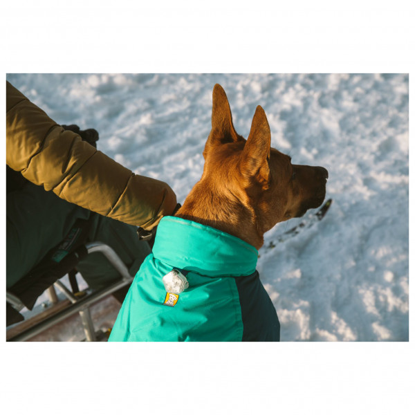 Ruffwear - Vert Jacket - Hundemantel