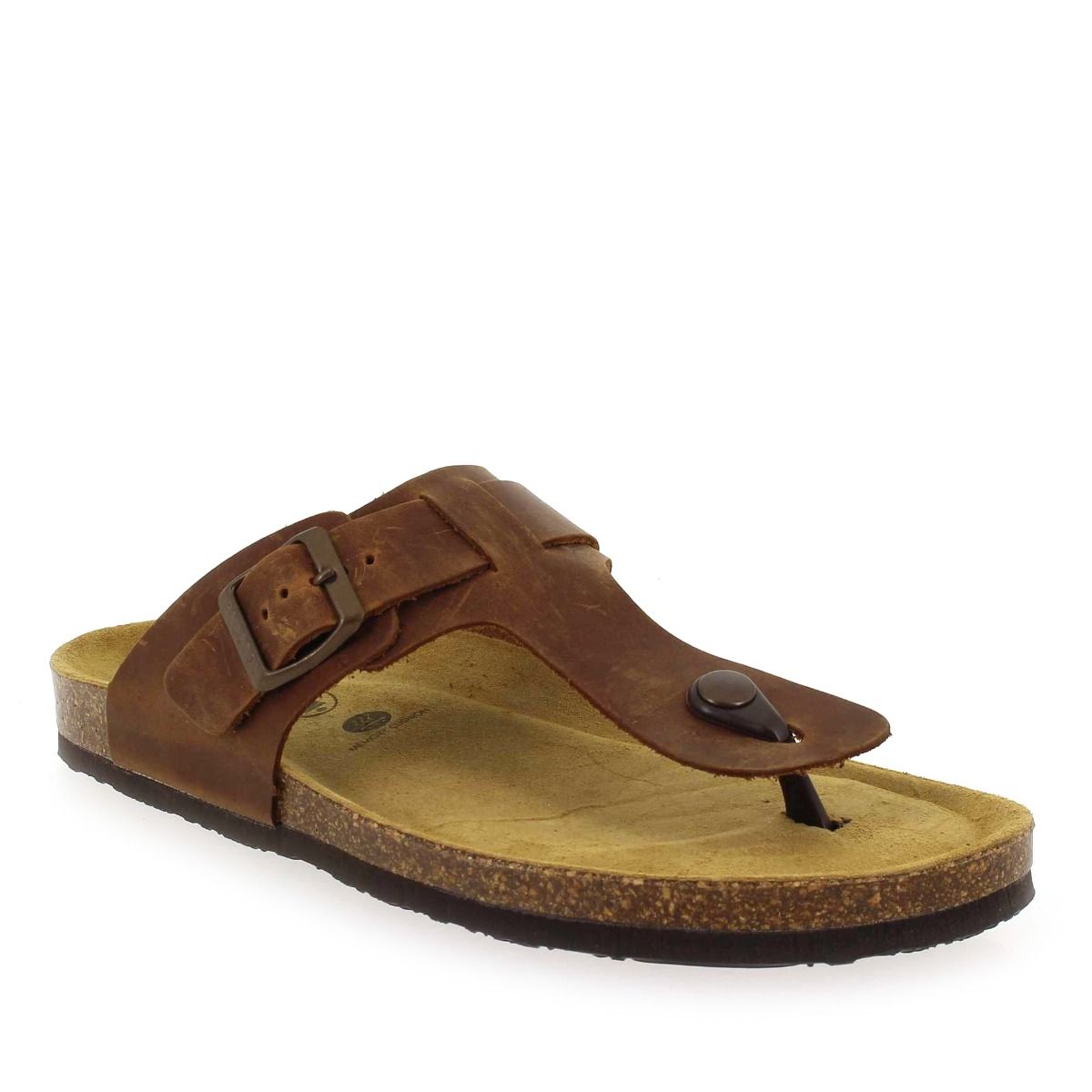 Plakton   BERDIE - Camel