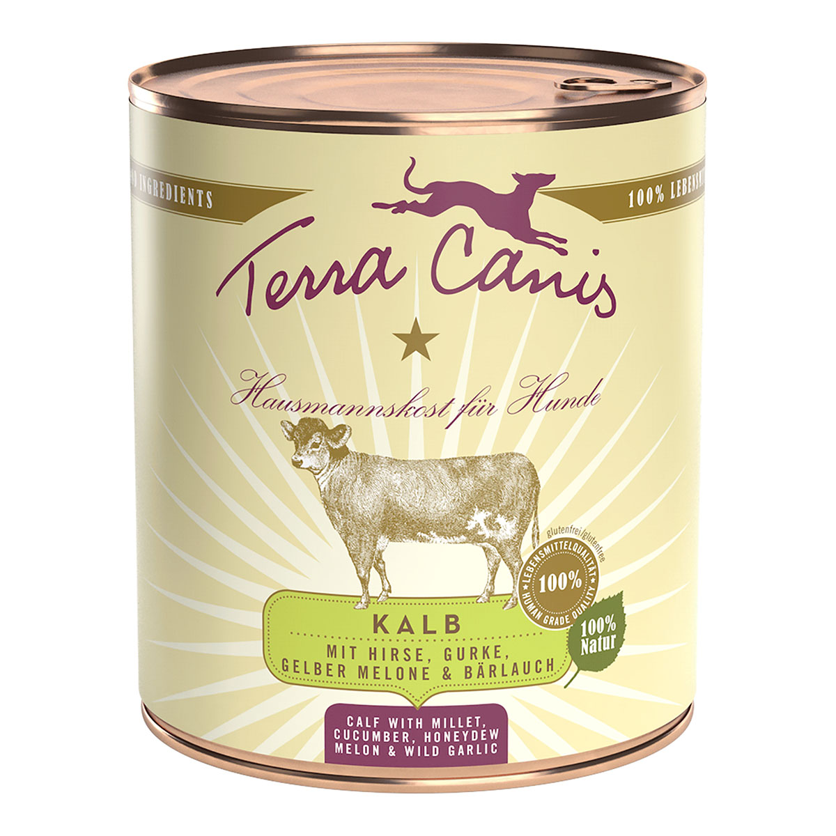 Terra Canis CLASSIC Kalb mit Hirse, Gurke, Melone bei ZooRoyal